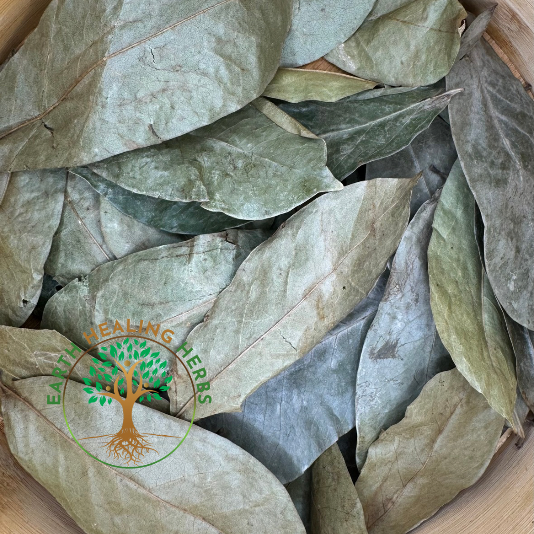 Soursop Graviola Leaves