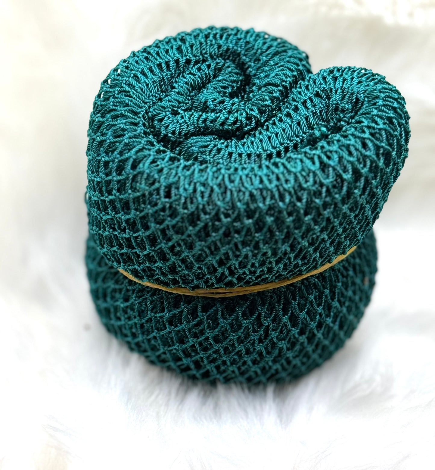 African Net Sponges