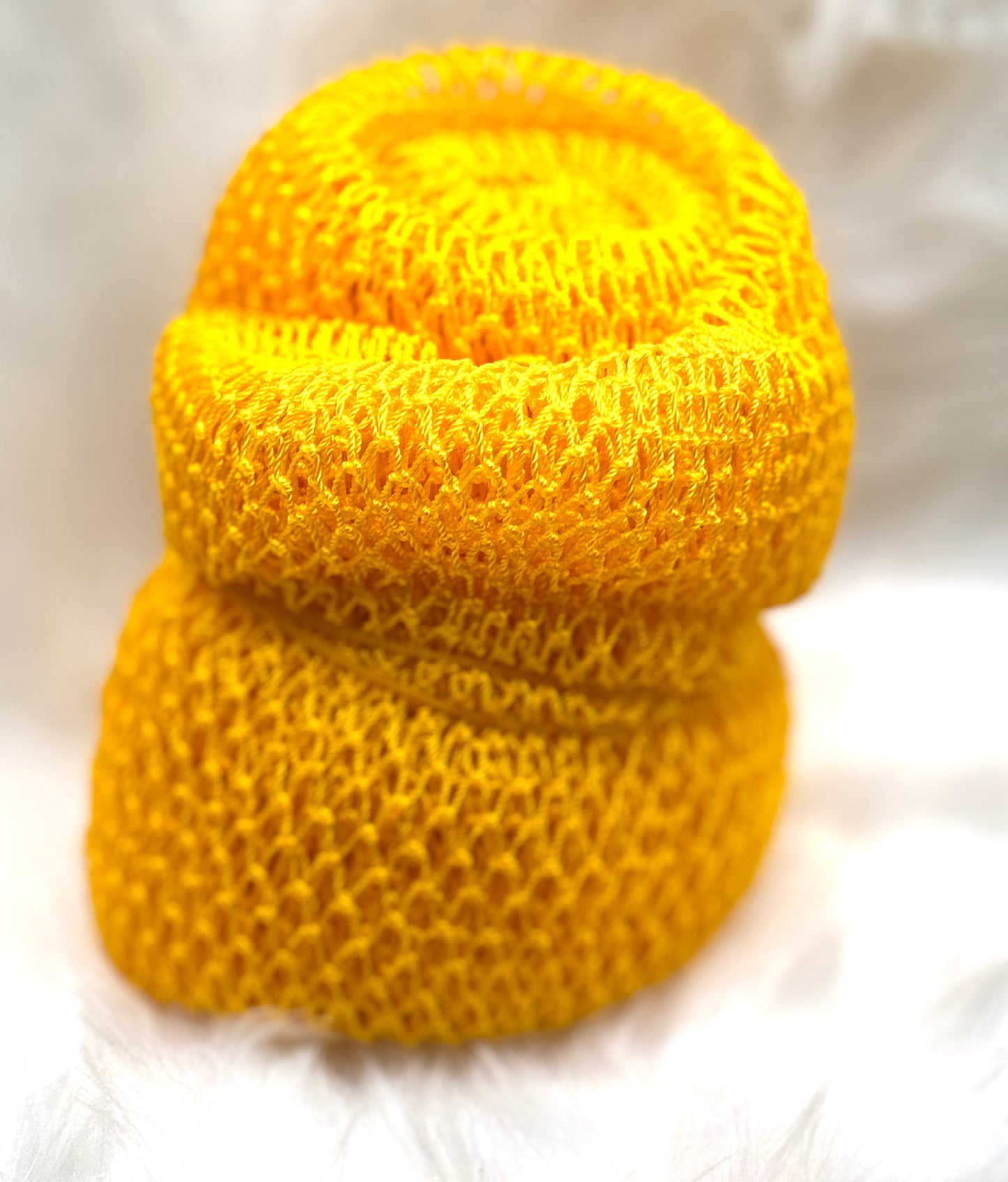 African Net Sponges