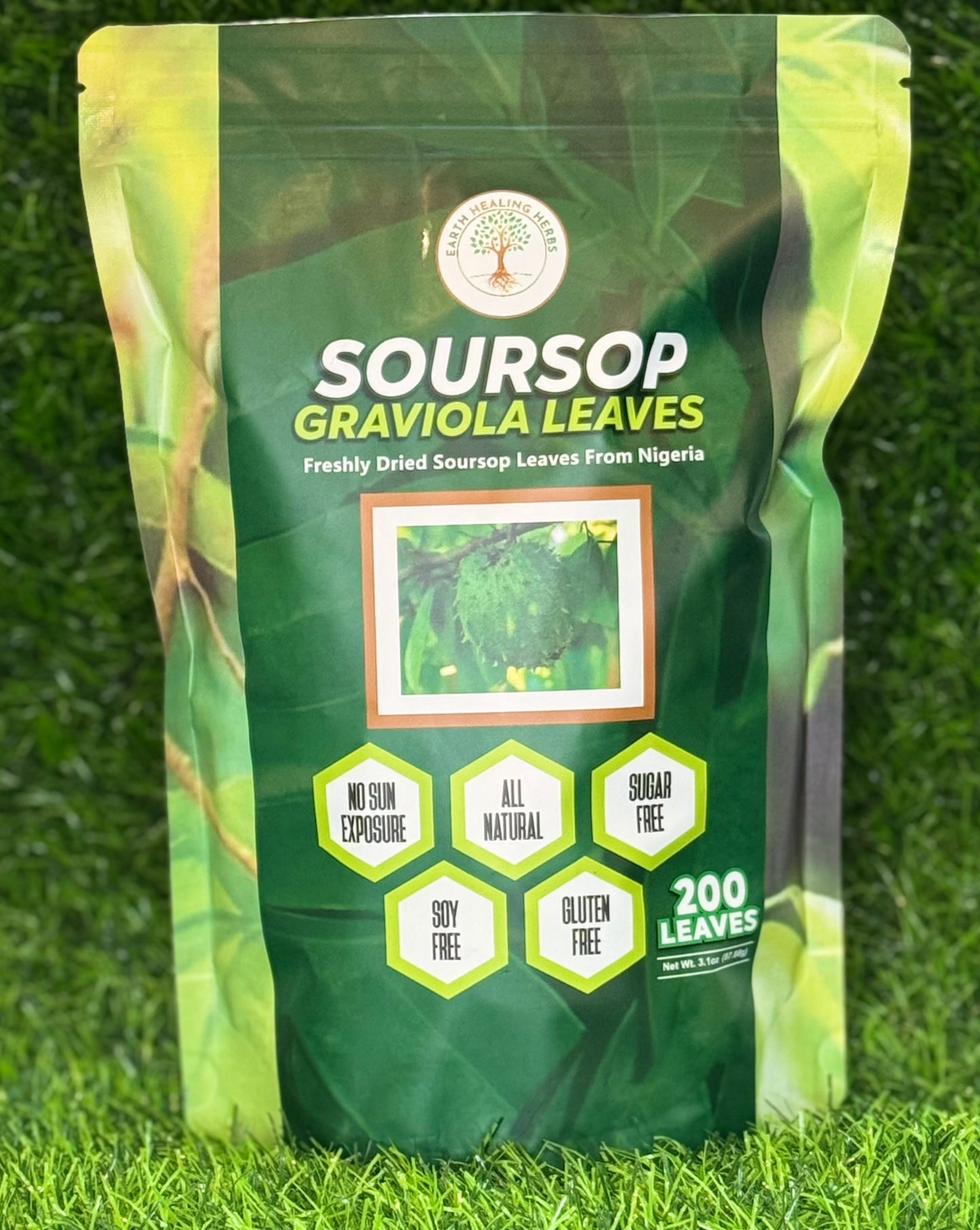 Soursop Graviola Leaves